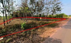 chủ kẹt tiền trả nợ gấp, cần bán lô 1000 m² - giá sở hữu chỉ 250tr