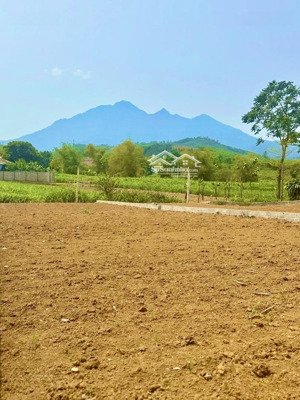 bán đất tại xã vân hòa, 1,93 tỷ, 255 m2, mặt tiền 8m, pháp lý đầy đủ