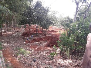 bán trang trại view đẹp tại sông xoài, phú mỹ, bà rịa vũng tàu, 64,032 tỷ, 16008 m2