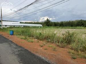 BÁN GẤP 4 LÔ 20X40=800M2 SHT, THỔ CƯ, NGAY THỊ XÃ, DÂN ĐUNG GIÁ 195 TRIỆU