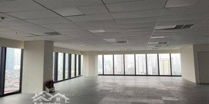 cho thuê nhanh văn phòng 250m gần phố hoàng quốc việt, cầu giấy, thông sàn, riêng biệt, yên tĩnh