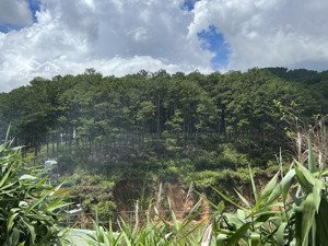 cần bán lô đất 5000m2, mặt tiền đường vành đai an sơn - p. 4 - view săn mây rất đẹp