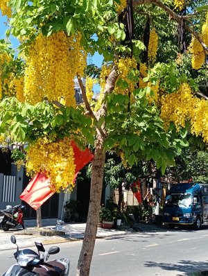 chào 249.2m2 mặt tiền phan văn định. giá 8,5 tỷ
