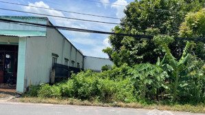 gấp! bán lô đất xã phước hiệp, 108m2, sổ riêng