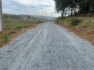 bán nhanh 12.679m2 đất shr thanh an, hớn quản, bình phước