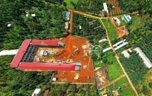 thổ cư chủ bán gấp mặt tiền đường nhựa 28m, tiện lợi kinh doanh, đầu tư lâu dài