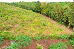 la ngà gọi mời mảnh vườn nghỉ dưỡng thơ mộng, gần quốc lộ 20, 1200m2, mặt tiền đường