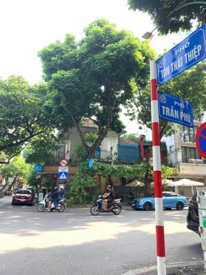 BÁN GẤP NHÀ RIÊNG PHỐ TÔN THẤT THIỆP ĐIỆN BIÊN BA ĐÌNH 35M 5 TẦNG 3 NGỦ OTO 5M GIÁ HƠN 14 TỶ