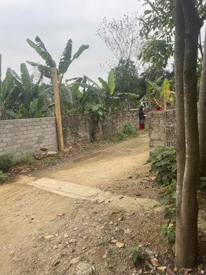 chính chủ e bán mảnh đất 495m.đường rộng.giá 2ty300.lh 