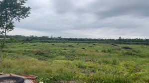 chuyên nhượng lô đất trang trại 21000m2 xã minh tân dầu tiếng