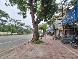 bán đất tặng nhà 3 tầng mặt phố ngô gia tự, long biên 71m² giá chỉ hơn 19 tỷ