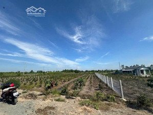 đất vườn mặt tiền kênh lớn khu vực lên thổ cư chủ cần tiền bán gấp giá rẻ gần nhà dân mua đầu tư