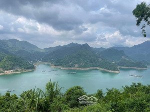 mua đất view hồ được tặng cây ăn trái, tại hiền lương, đà bắc