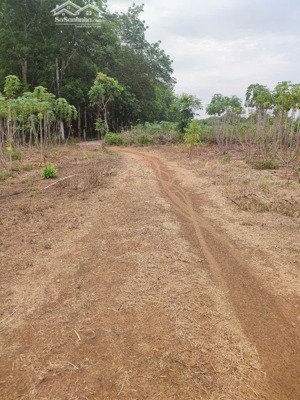 bán 1 sào đông hòa, giá 450 triệu, diện tích 1000m2, sổ sẳn công chứng trong ngày