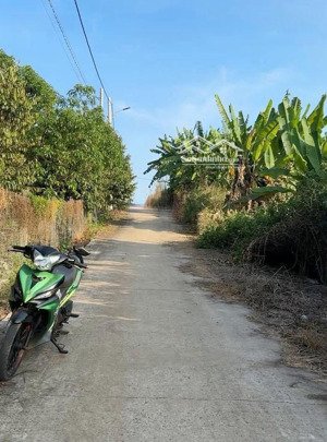 chủ bán gấp 2 sào giá rẻ tại p. hàng gòn, long khánh, đồng nai. call t hiếu