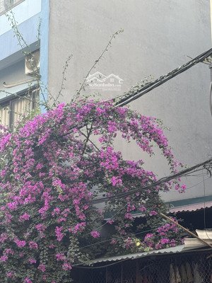 bán đất phân lô 51m2 mặt tiền rộng ô tô thông tại đường lý sơn, đức giang, thượng thanh giá rẻ