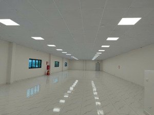 hải phòng chuyển nhượng nhà máy hơn 2ha. tại khu cn deep c 1. nhà máy đẹp, đủ pccc tiêu chuẩn