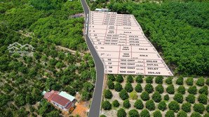 bán đất tại long tân, 470 triệu, 550 m2, giá ưu đãi trong tháng 6