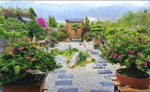cần bán gấp căn farmstay 1500m2/1,2 tỷ trung tâm đà lạt , có sẳn nhà 2pn, sân vườn. dọn vào ở ngay.