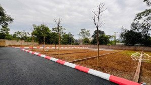 sốc! đất đẹp cư yên lương sơn giá chỉ 710 triệu/lô cạnh kcn 214ha - thủ phủ nghỉ dưỡng