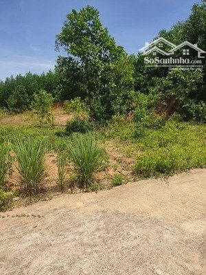 bán nghỉ dưỡng tại đường hoàng văn thái, xã hòa nhơn, hòa vang, đà nẵng, 1,85 tỷ, 515 m2