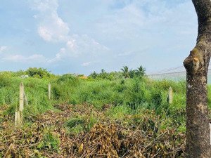 vỡ nợ cần bán gáp đất tại ba sa, củ chi, 550 triệu, 150m2, giá tốt chỉ với