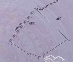 bán gấp 3ha2 điều 200m2 tc tại xã tân thành, bù đốp, bình phước, giá rẻ chỉ 1.8 triệu/m2