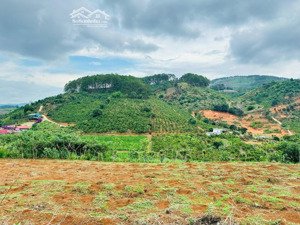 bán đất tại kdl xã mê linh, lâm đồng. sổ hồng 267m2. cách tp đà lạt 21km