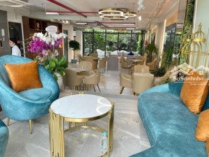 tòa nhà mt cách mạng tháng tám, tân bình 8,4x21 176,4m2 hầm 5 tầng giá 58 tỷ