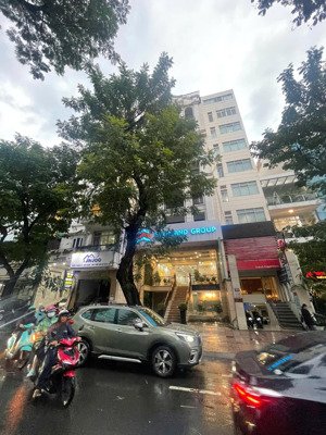 bán tòa nhà chdv cao cấp khu sân bay dt gần 200m² thu 2 tỷ/năm mặt tiền nb đường cửu long.