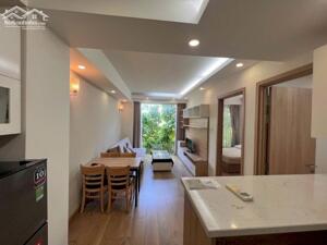 Cho thuê chung cư mini Q3, full nội thất cao cấp, khu Bàn Cờ, Nguyễn Thiện Thuật, Nguyễn Đình Chiểu