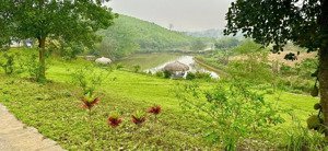 bán trang trại, khu nghỉ dưỡng tại yên bài, ba vì, hà nội, 3,8 triệu / m2, 4989 m2