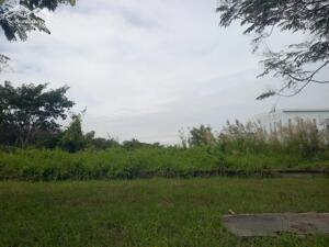 Bán đất xây dựng xưởng 30,000m2 KCN Hiệp Phước, Huyện Nhà Bè, Tp HCM