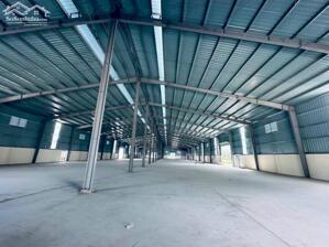 Cho thuê kho xưởng DT 2800m2, 4300m2 tại Lương Sơn, Hòa Bình