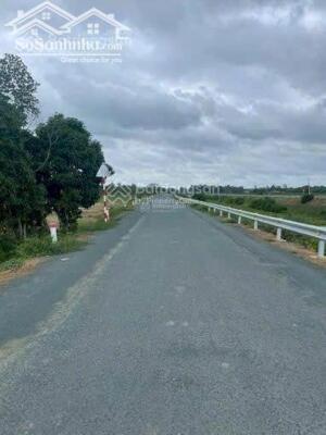 2,1ha Đất đẹp tại Tân Hoà, Tân Châu. MT đường Bàu Năng DMC. Giá nhanh chỉ 85tỷ. Sẵn thổ cư