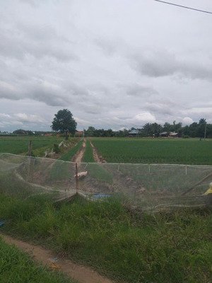 bán 1500m2 đất 3 tỷ tại bàu công, pháp lý đầy đủ, giá ưu đãi