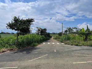chú vay nợ ngân hàng ra hàng lẹ 230m2, full thổ cư chỉ 2 tỷ 1, ngay mặt tiền đường lớn dt725