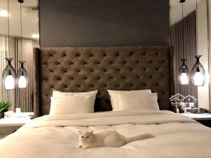 nhà tĩnh dưỡng kế đường a4 long mạch khu k300, dân trí rất cao, đường nhựa mịn, 72m2 hxh- 10,72 tỷ