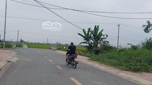 bán lô đất sát vin hiếm có tại phong cầu đại đồng chia được 2 lô 177m2