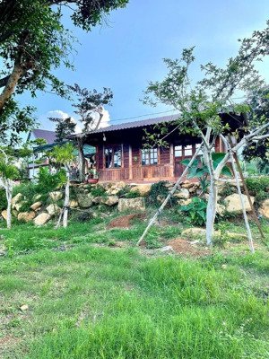 bán gấp căn nhà vườn rộng rải 3500m2 giá chủ nhà đang cắt lổ 60%, trên đất có nhà, sân vườn,ao,...