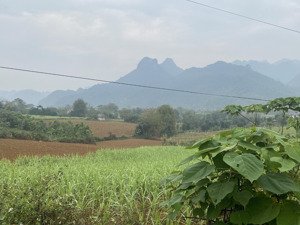 bán đất tại mỹ hoà, tân lạc, hòa bình, 6768 m2, 400m2 thổ cư, hàng hiếm chỉ 2,9 tỷ. lh: 