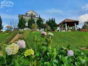 Bán villa view đỉnh rừng thông Hoàng Hoa Thám, P. 10, Đà Lạt