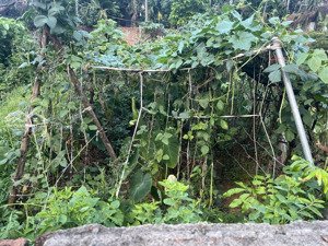 bán 65m2 đất dương quang gia lâm