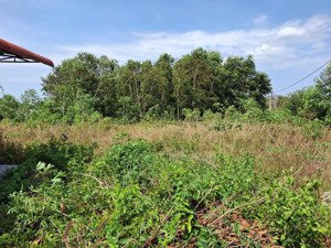 chính chủ bán lô đất lớn 10816m2, 161m mặt tiền đường nhựa, gần hồ bà tô phước bửu, bà rịa