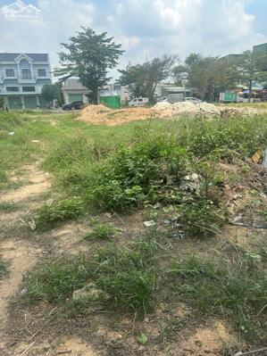 Cho thuê lô đất CLN Xã Nghĩa Ninh, Đồng Hới