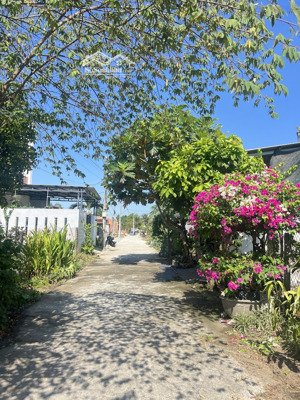 chủ gởi bán lô đất đẹp tân hạnh hoà phước