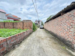 bán 62m2 đất thôn đức hậu, thanh lâm, mê linh - vị trí đắc địa, tiềm năng vượt trội