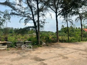 bán đất tại phượng sơn lục ngạn vị trí: gần mặt ql31, cách chỉ 50m