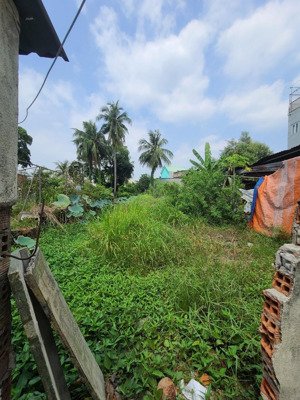 bán đất full thổ cư đường thạnh lộc 50, phường thạnh lộc, quận 12