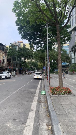 bán biệt thự pháp cổ 200m2 giá cực chất, 45 tỷ tại triệu việt vương, hai bà trưng, hà nội
